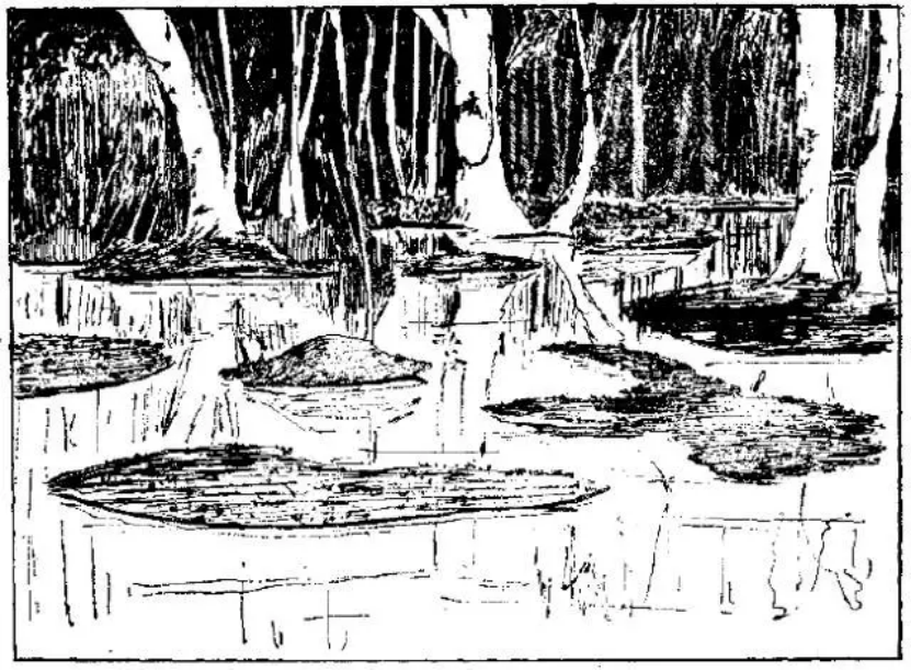 盤點各類地質地貌類型-地熱資源開發(fā)-地大熱能 盤點各類地質地貌類型-地熱資源開發(fā)-地大熱能